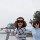 정인목장 Daum카페