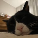 요아킴농장 | 하고싶은 것들이 있고 할 수 있어서 행복한 요즘