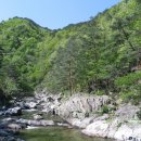 첩첩 산골 은둔의 유토피아를 찾아서,양양 미천골자연휴양림 이미지