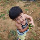 영준 농장 이미지