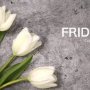 이채영피부관리 이미지