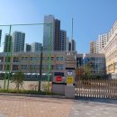 대저중앙초등학교 이미지