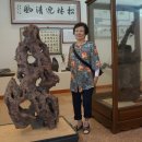 경기도 수원시 팔달구 월드컵로381번길 이미지