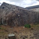 세바의 오두막 | [제주카페] 구좌 선흘리 마을 비밀스러운 귤 창고 카페 - 카페 세바