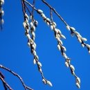 서평택모터스 이미지