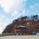 미라클침술원 | 오늘은 강화도에 다녀왔습니다^^(내가침술원&대명항&어류정항)