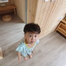 젤코바480 이미지