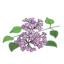 사모아공인중개사사무소 이미지