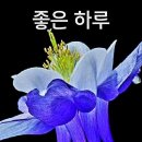 🍜설날 떡국의 의미🍜 이미지