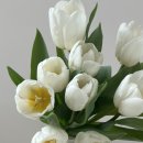 제이제이농장 이미지