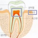 백세치과 이미지