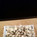 현성농장 이미지