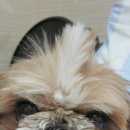 채연농장 이미지