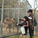 화원유원지 축구장 이미지