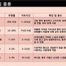 오데이지 이미지