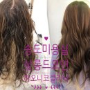 살롱드모연