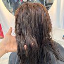 압구정 로데오 미용실 아반트헤어 압구정점, 클리닉으로 여신 머리 완성
