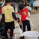 솔밭초교 병설유치원 이미지