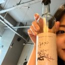 해월도가 이미지