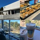 거제-사등-사등-비상-11 | 거제 신상 카페 스타벅스 거제사등점 빵 종류, 후기