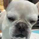 호박동물병원 이미지