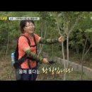 농업회사법인 (주)늘푸른 이미지