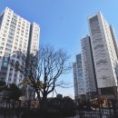 대광행복공인중개사사무소 이미지