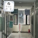 플로레세르