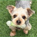 아이조아요양보호소 전남광주점 이미지