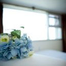 오션로프트 이미지