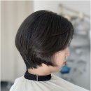 플랜디