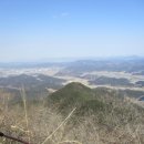 두꺼비어탕전문점 이미지