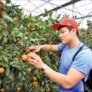 호텔감귤향기 이미지