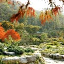 용인축산업협동조합한우랜드 이미지
