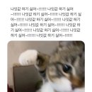 적토마