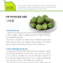 그린몰기술