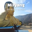 영산시장 | 경남 밀양 영산정사 와불상 성보박물관 문화재 탐방 여행