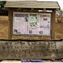 서일여행 이미지