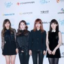 오늘 &#39;2016 슈퍼서울드림콘서트&#39; 레드벨벳.jpg 이미지