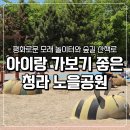 GS25팔복공단점 | 인천 아이랑 가볼만한 곳 청라 노을공원 모래놀이터 숲길산책로 6세 아이와 힐링하고온 후기