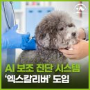 해오름 동물병원 이미지