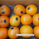 아리솔 태권도 이미지