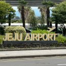 5/31 ~ 6/2 in jeju