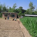 구라농장 이미지