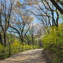 선포약수터 이미지