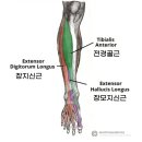 “깜짝이야!” 운전 중 ‘이 곳’에 쥐가 났다?…종아리도 아닌데, 왜? 이미지