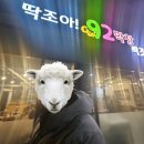 딱조아92막창 이미지