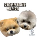 365 마음동물병원 이미지