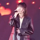 봄 설레임 콘서트 이미지