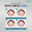 엔도픽스 이미지